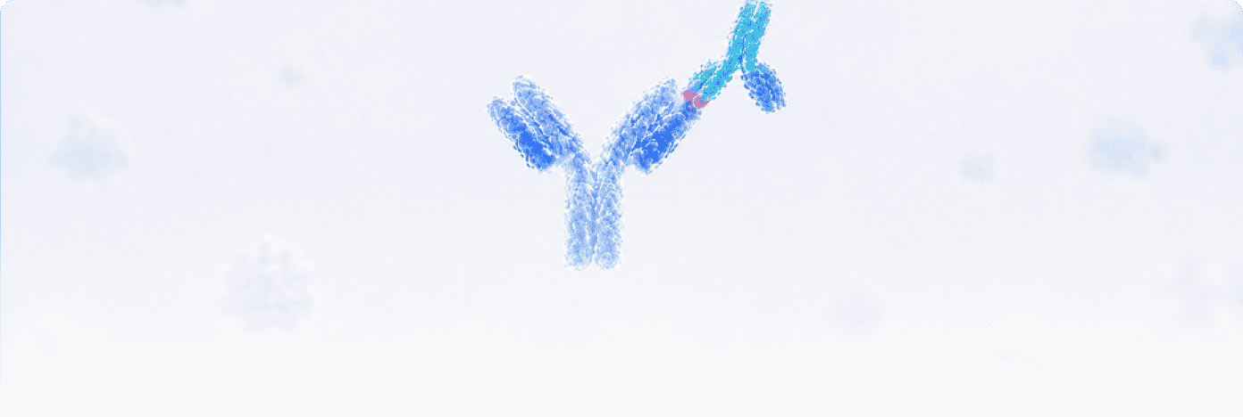 Anti-Idiotype Antibodies for CAR Analysis